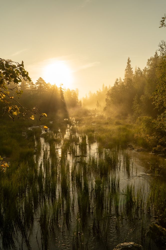 Photograph by Евгений Васильев