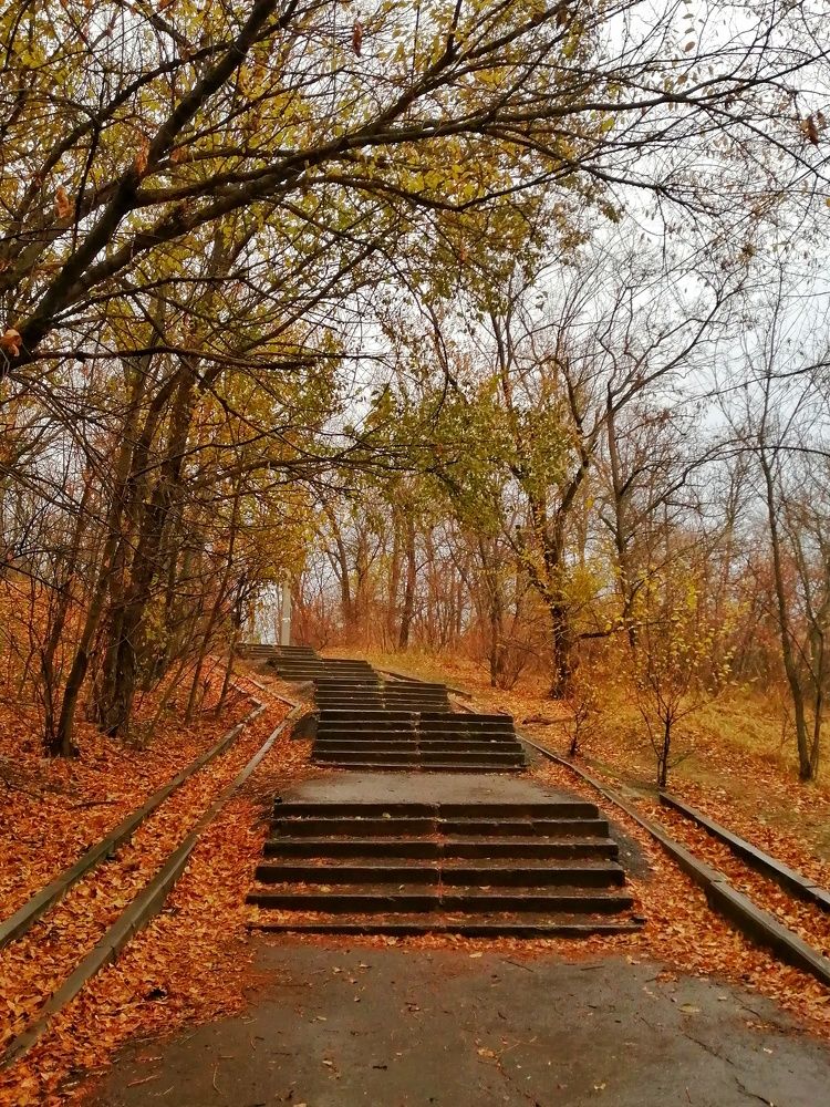 Photograph by Ирина Кулешова