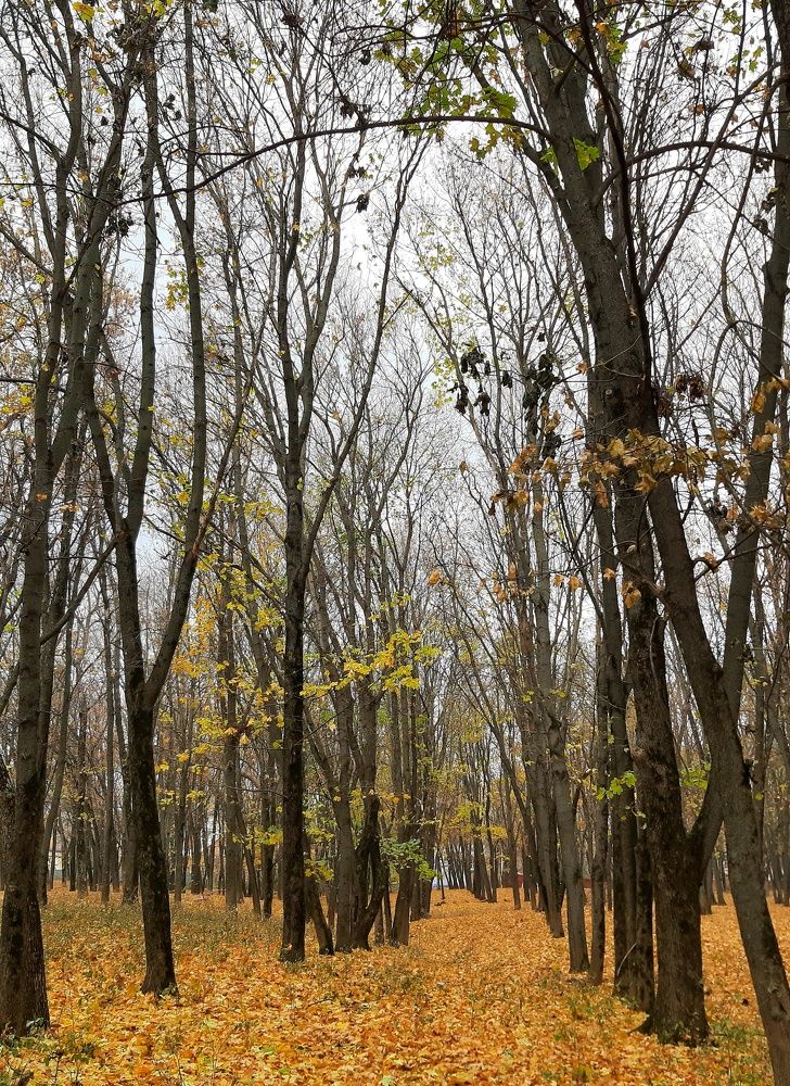 Photograph by Ирина Кулешова