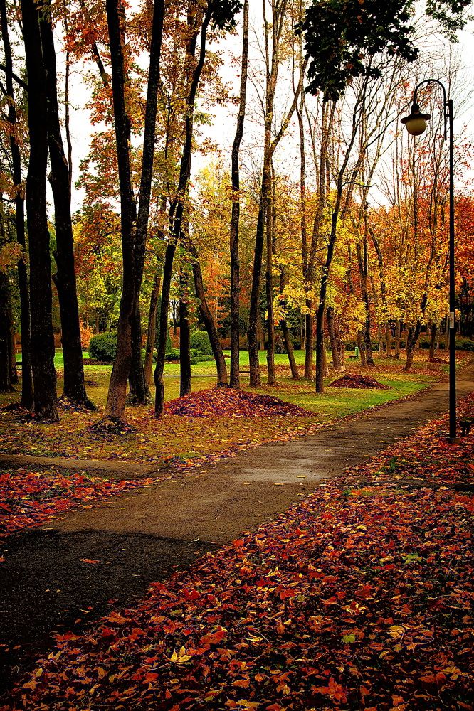 Photograph by Galina