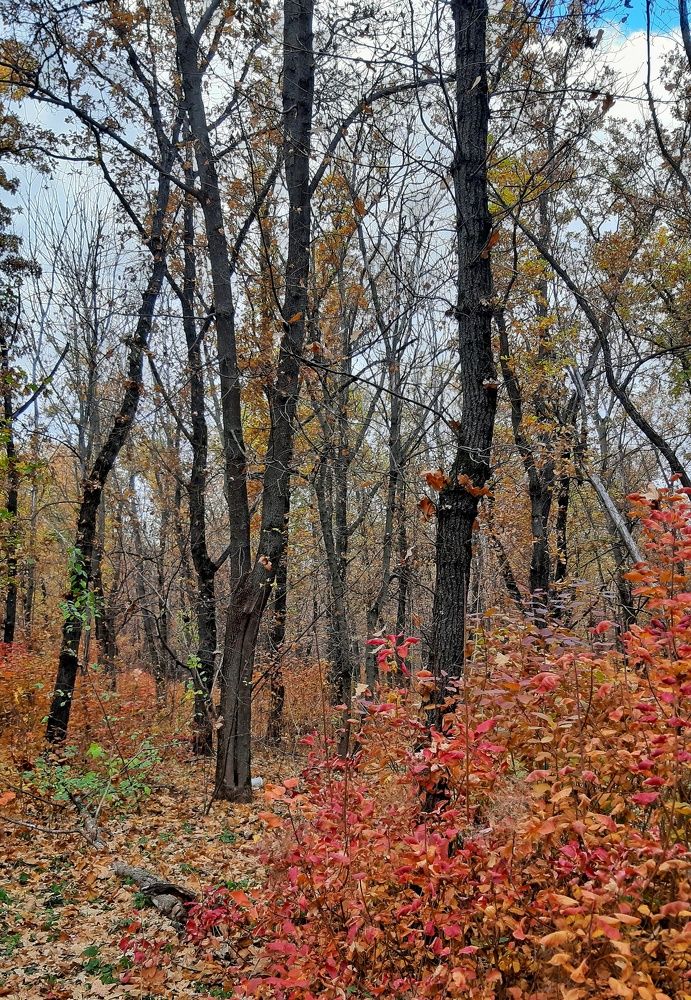 Photograph by Ирина Кулешова