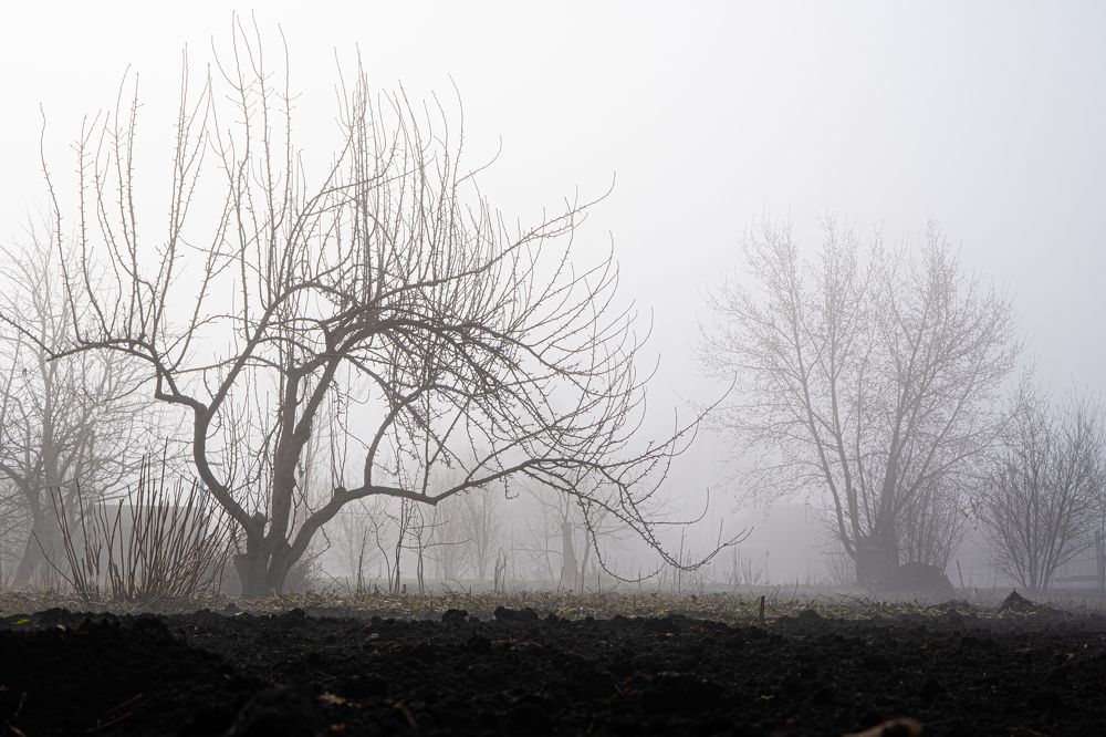 Photograph by Наталья Круглова