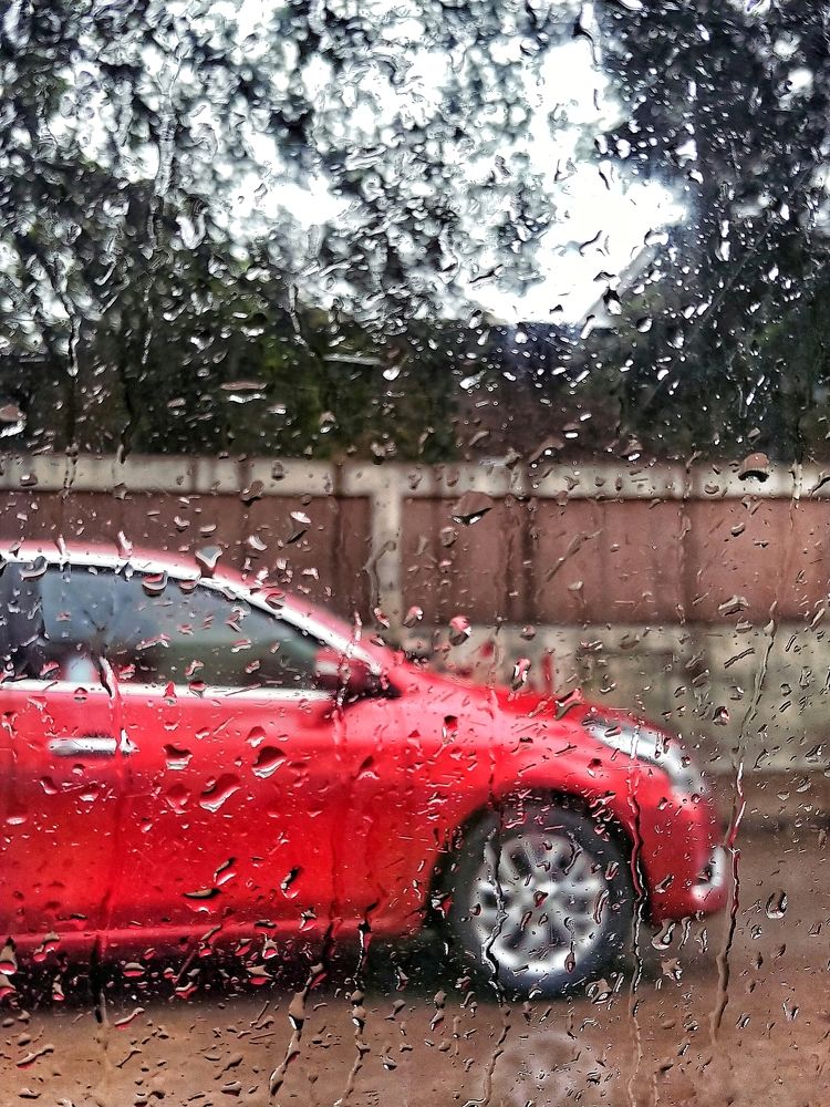 Photograph by Nehad Mahgoub