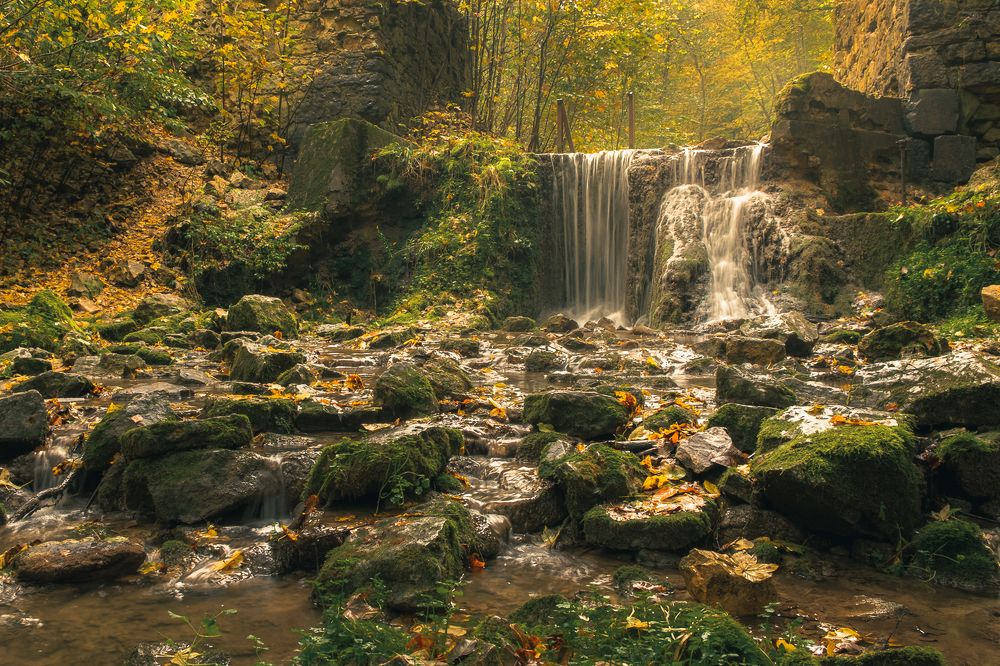 Фотография автора Tomasz Podgórny