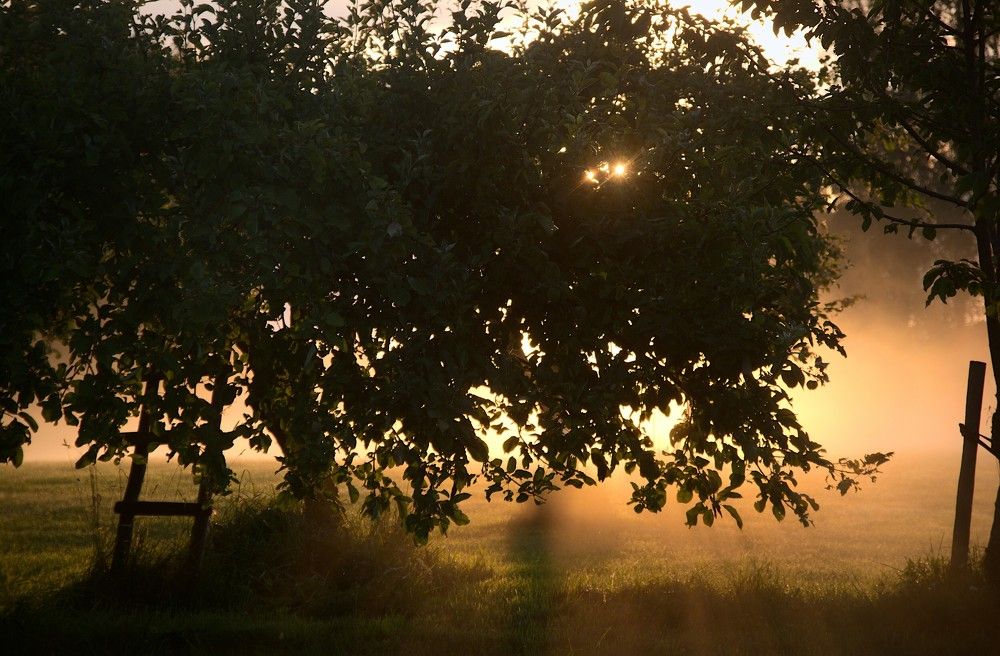 Photograph by Evita Juseviča