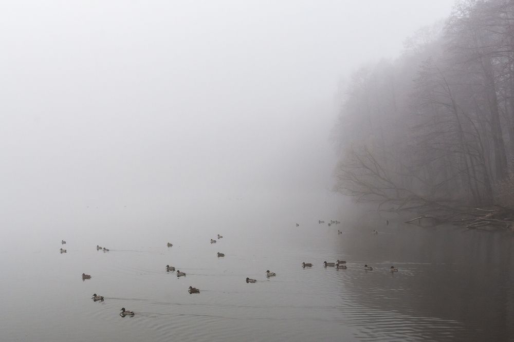 Photograph by Денис Соловьёв