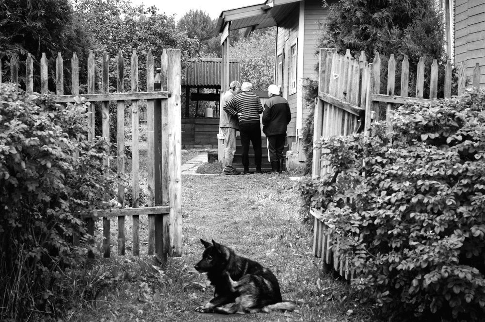 Photograph by Элеонора