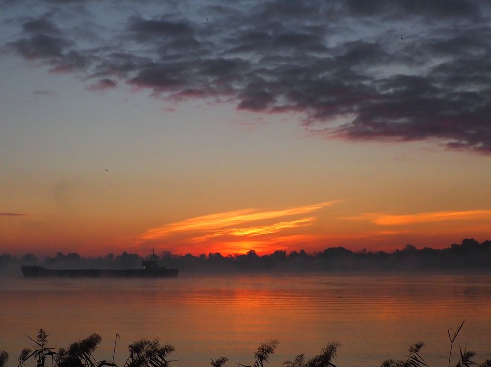 Photograph by Александр Петренко