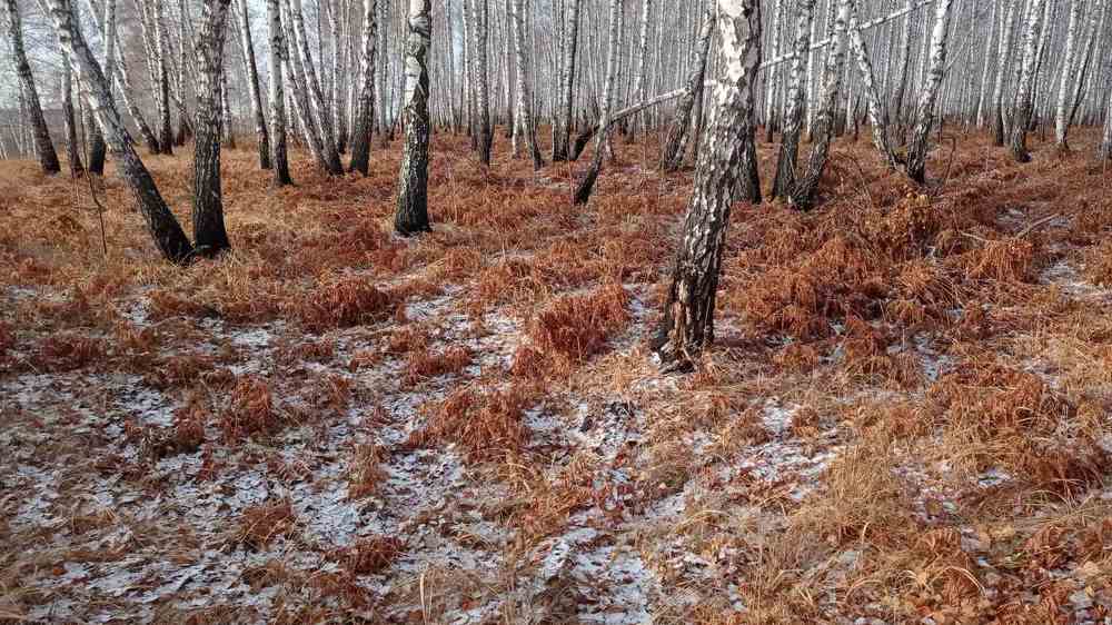 Photograph by Яна Нурмакина