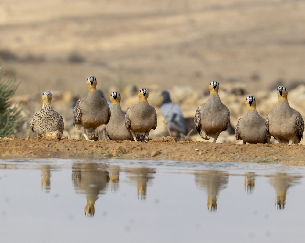 Photograph by Валентина Лопаткина