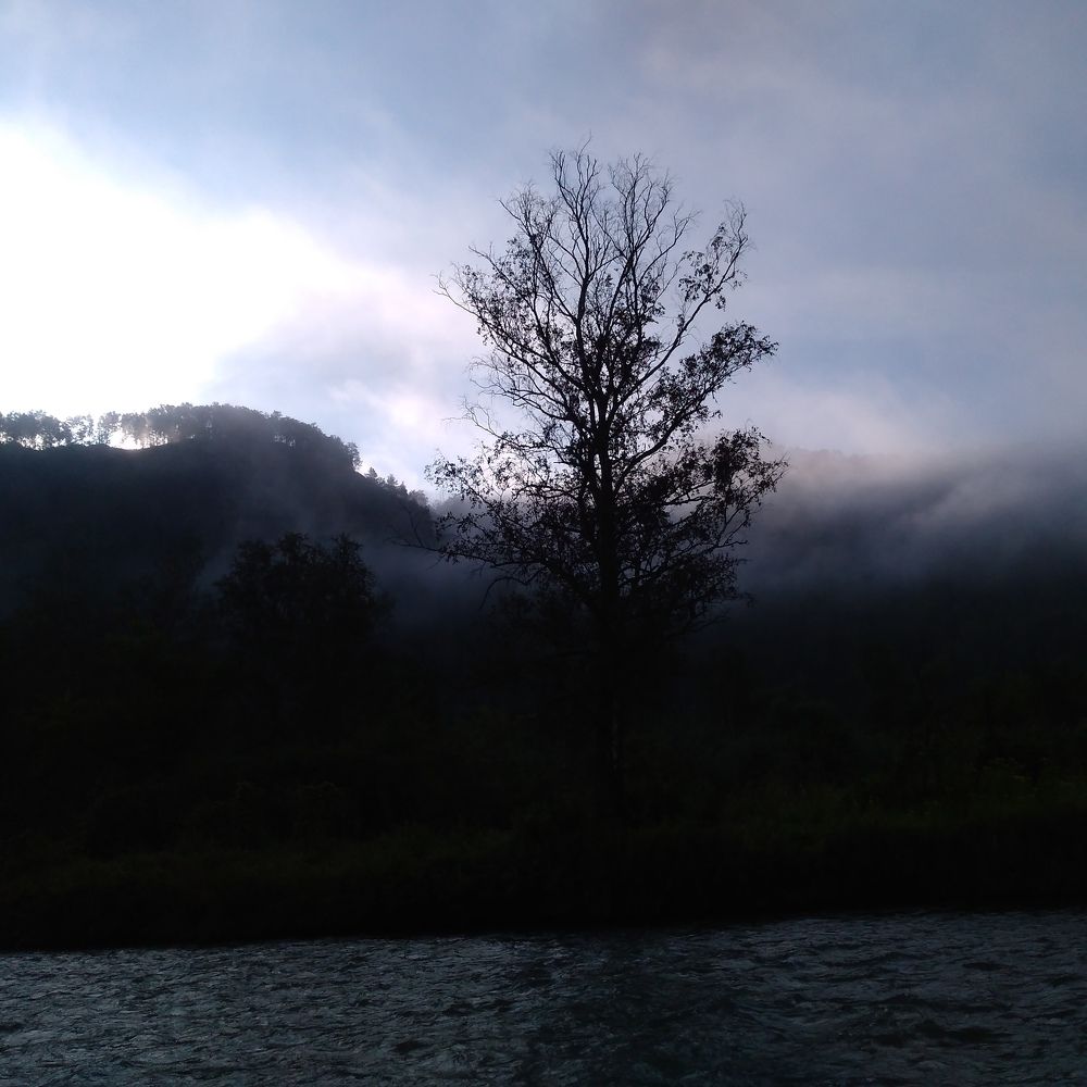 Photograph by СТЕПАН ДЖУЛАКИДЗЕ