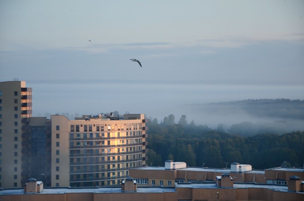 Photograph by Ирина Никитина