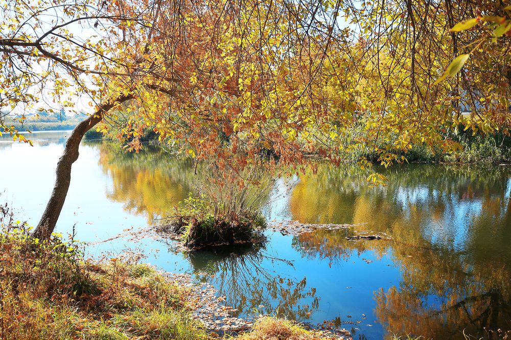 Осень на реке