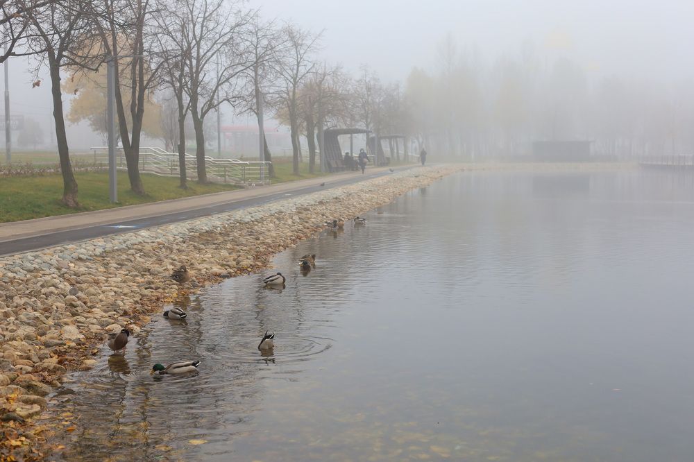 Фотография автора Ольга Варварич