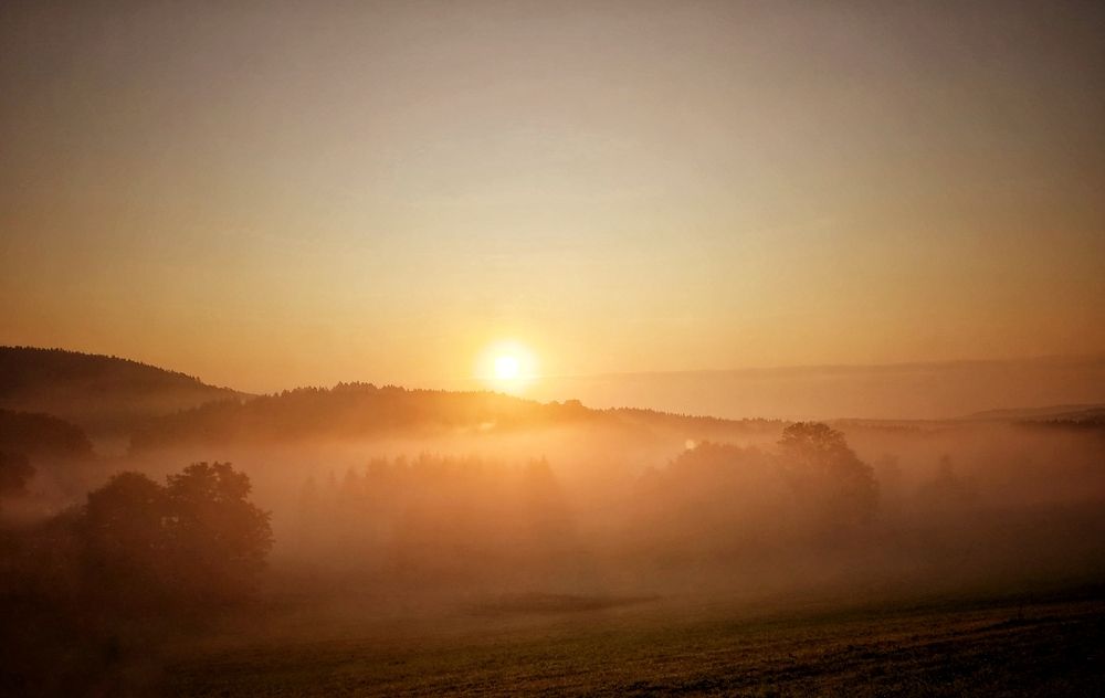 Photograph by Eva Wiedemann