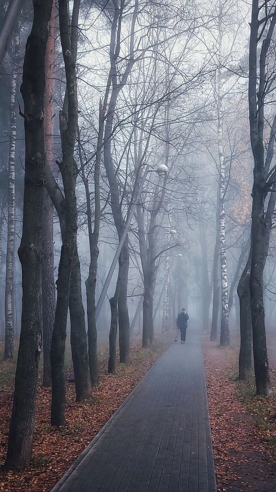 Photograph by Сергей Малашкин