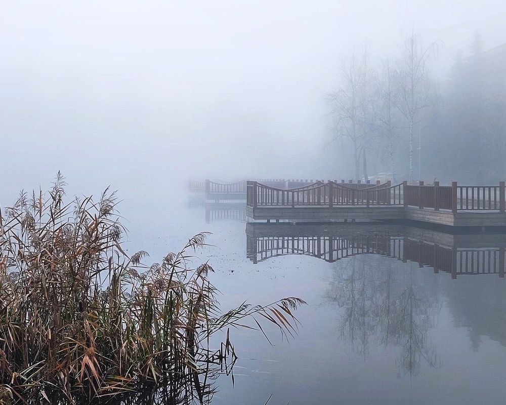 Photograph by Сергей Малашкин