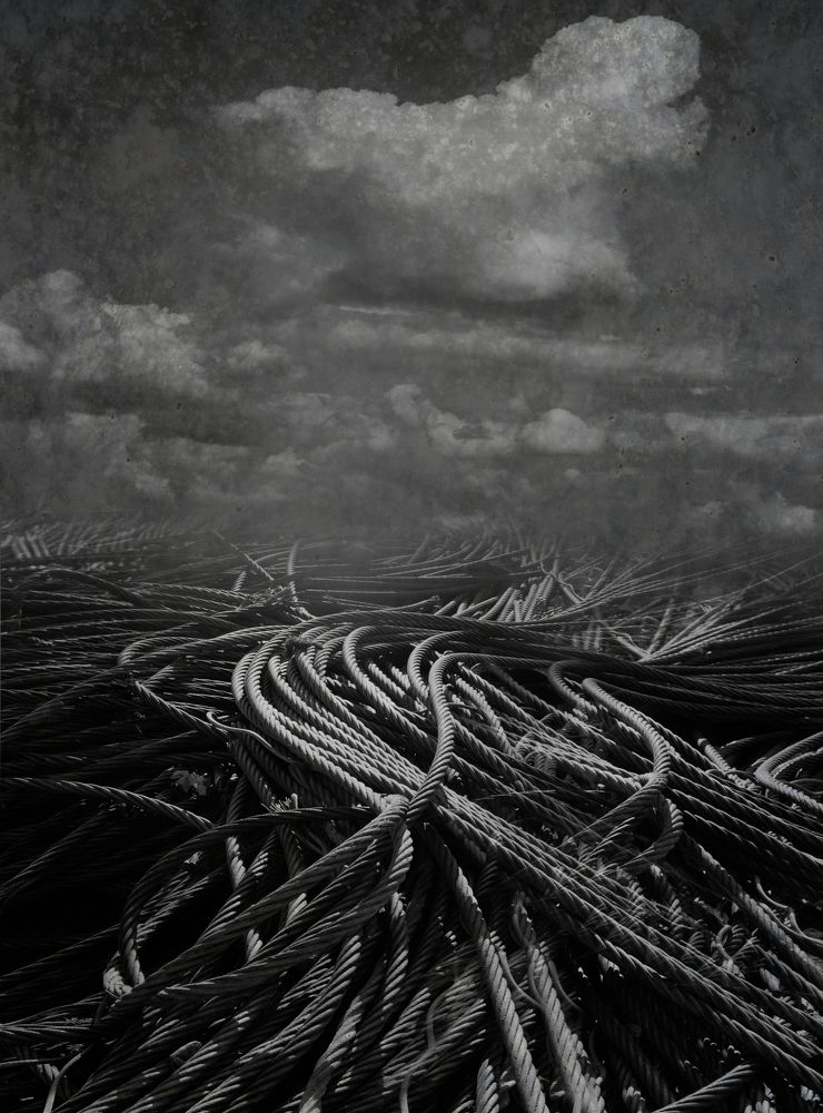 Photograph by Andrzej Wojciechowski