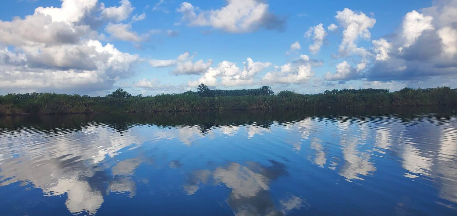 Rio Grande de Loiza