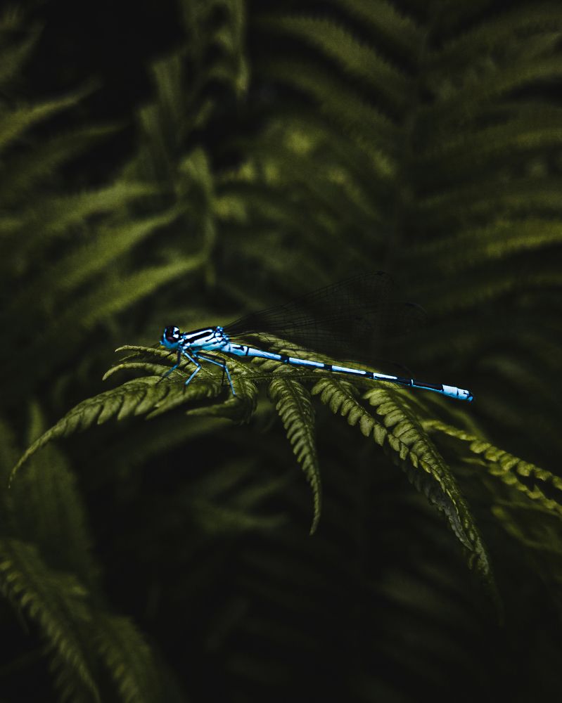 Photograph by Ярослав Саватейкин