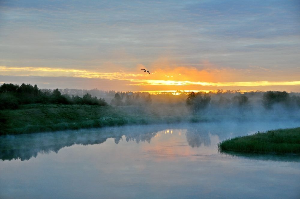 Утренний туман