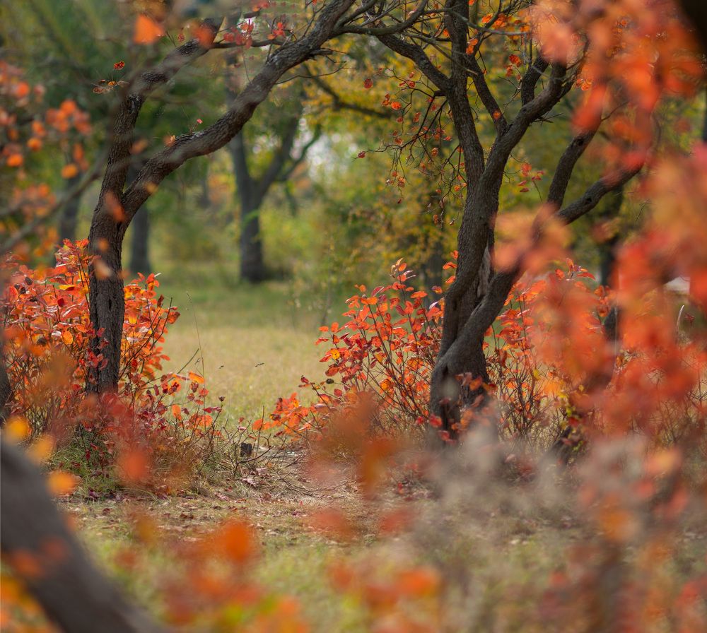 Photograph by Надежда Кураж
