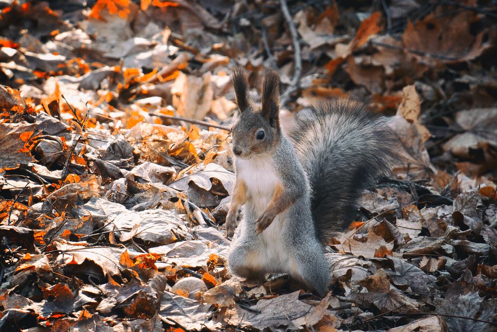 Photograph by Екатерина Рябинина