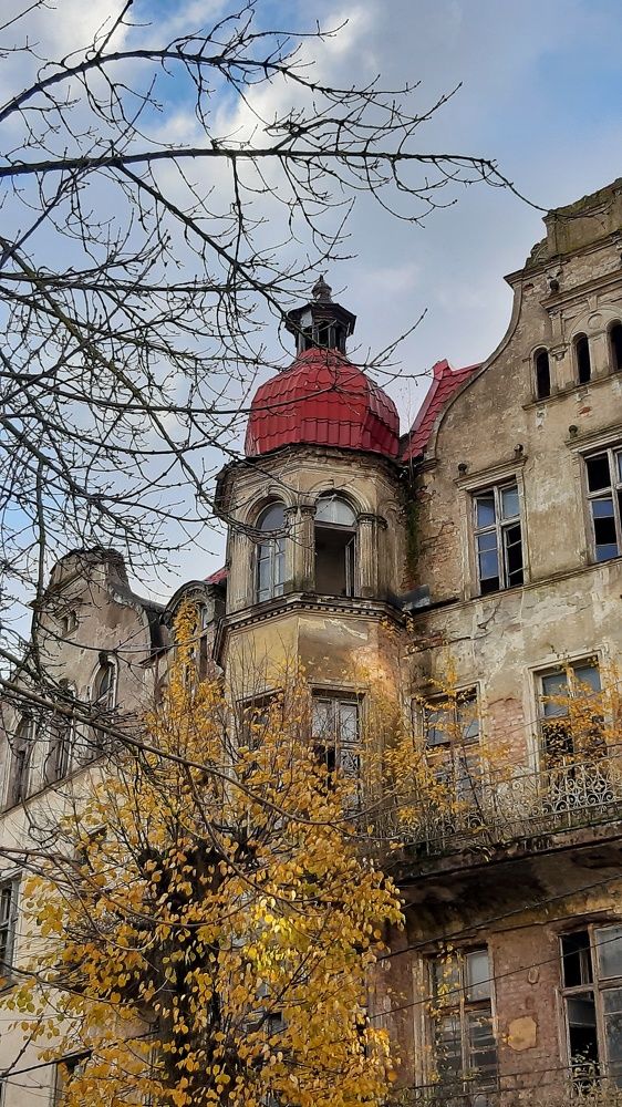 Стареющий Тильзит.