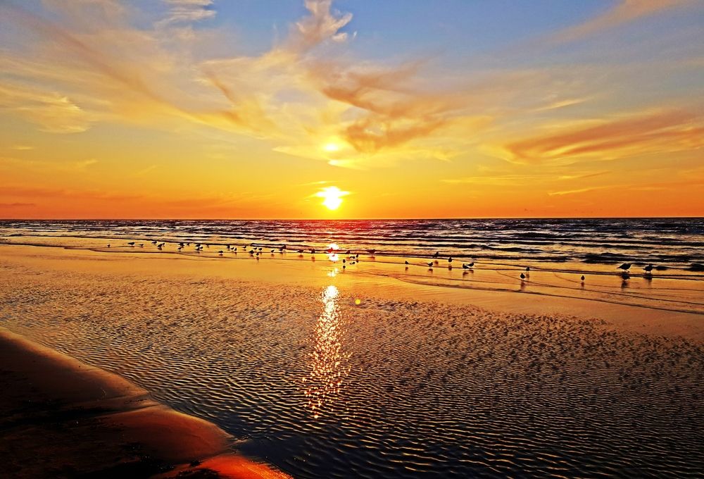 Photograph by Svetlana Toropoviene