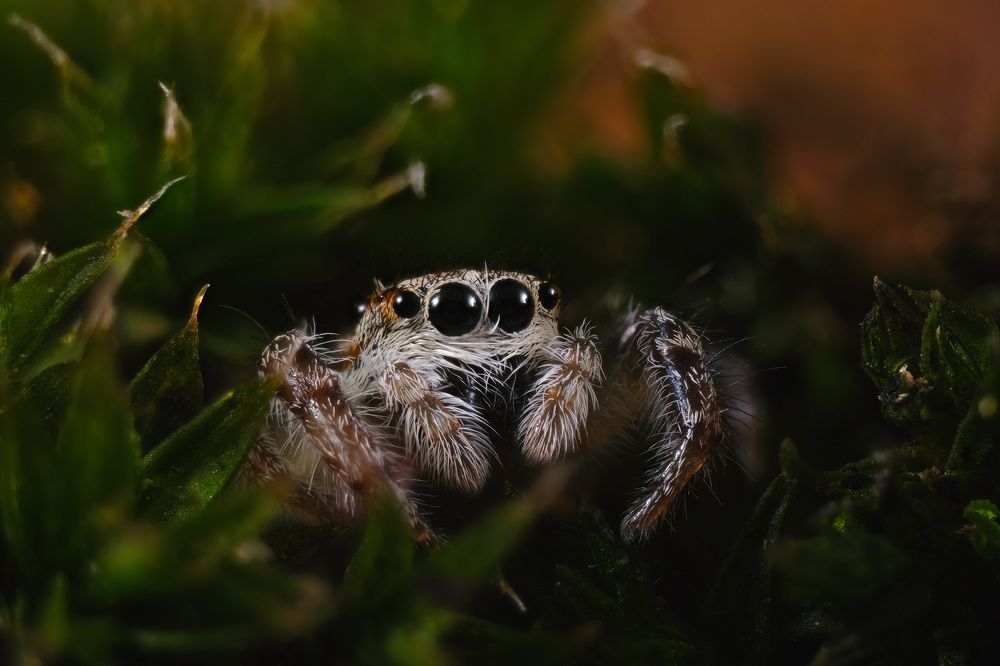 Photograph by Юрьевич Юрий