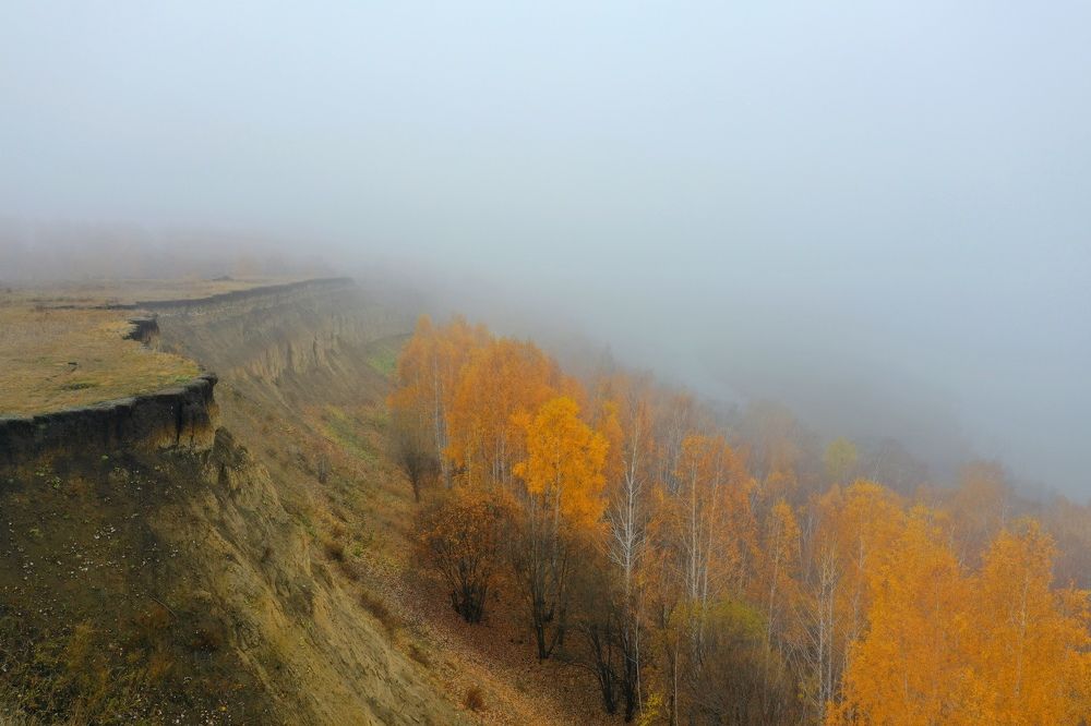 Берег Драверта