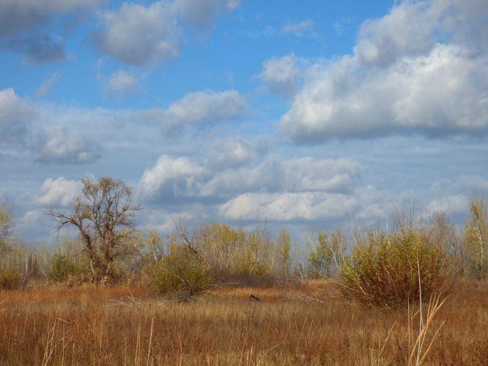 Photograph by filipp