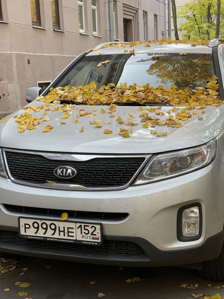 Photograph by Ольга Одаренко