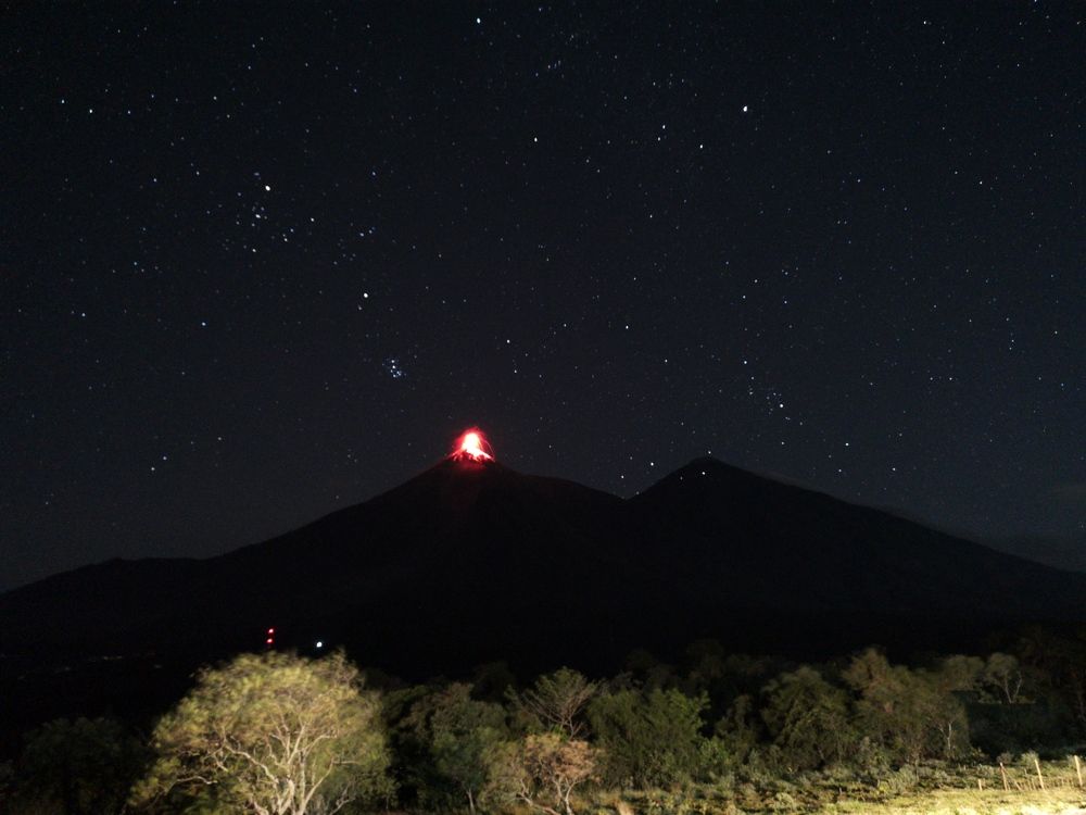 Photo #6688132