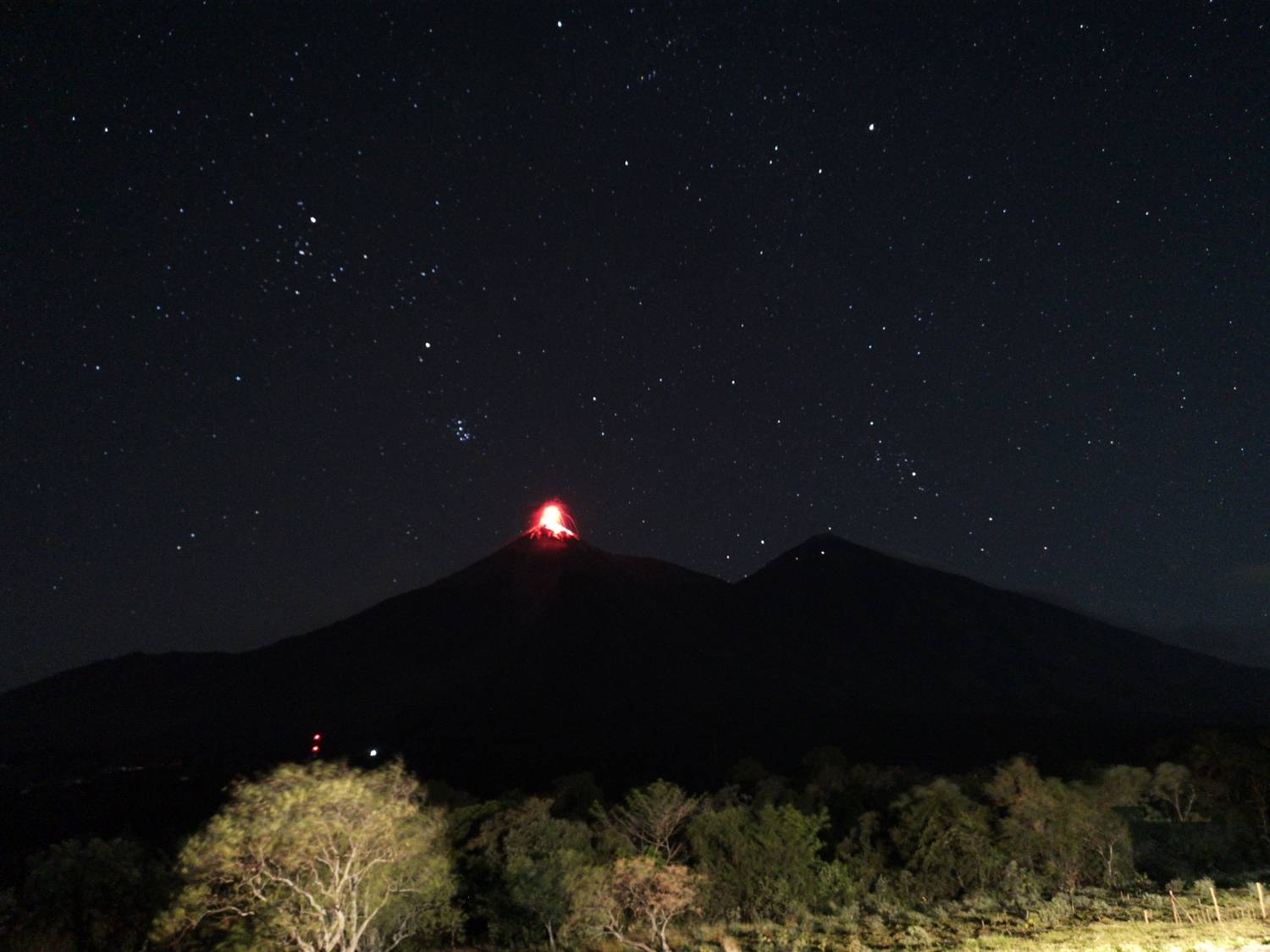 Photo #6688132