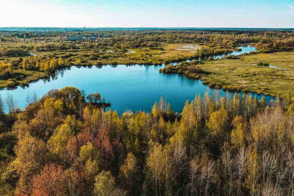 Фотография автора Светлана Чижикова
