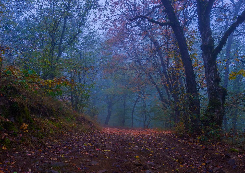 Фотография автора Севак Асрян