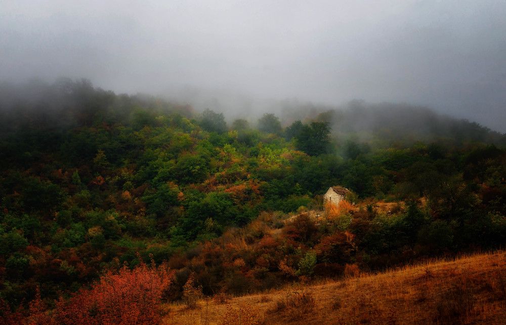 Фотография автора Севак Асрян