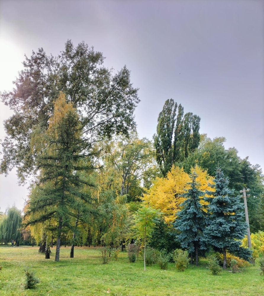 Photograph by Лариса Поляк