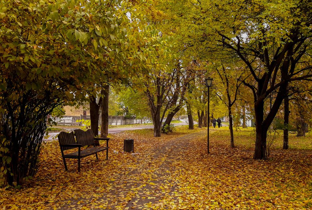 Фотография автора Юля Савельева