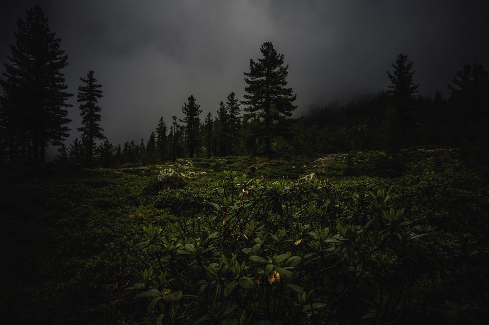 Photograph by  Алексей