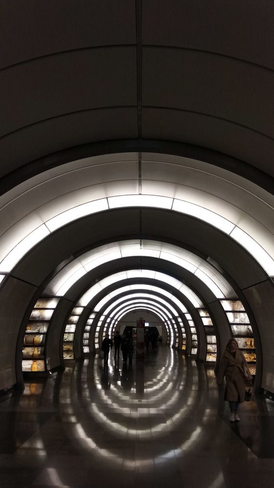 Photograph by Елена Илюхина