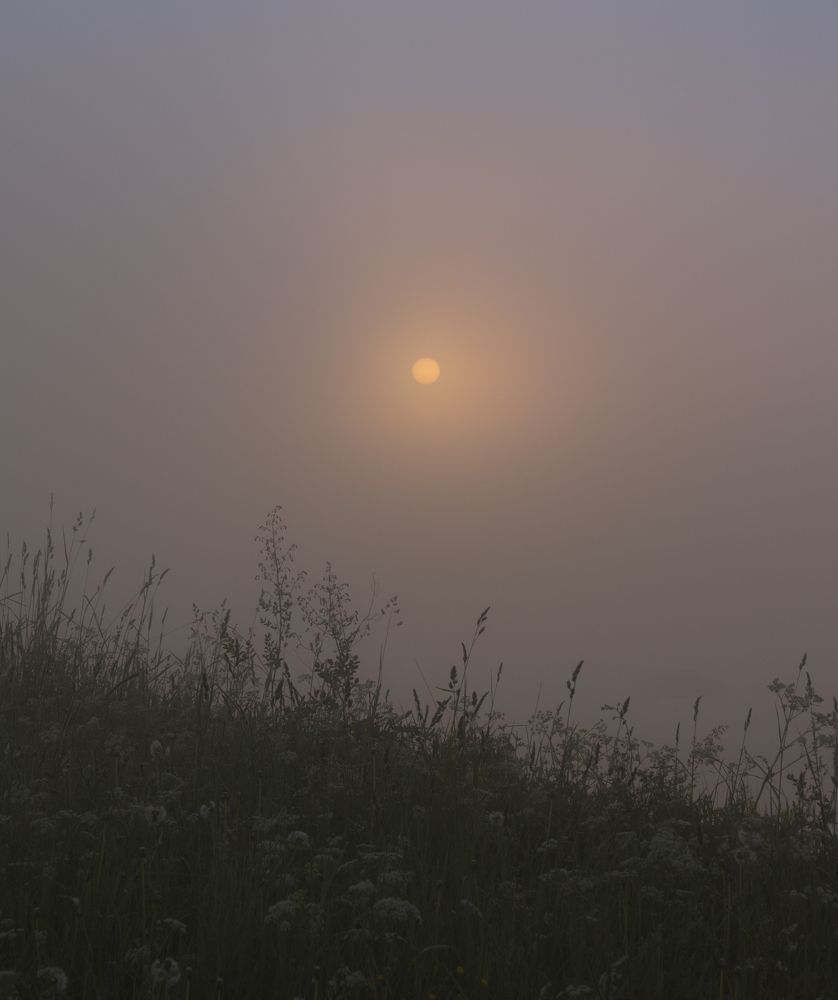 Photograph by Наталия Никитинская