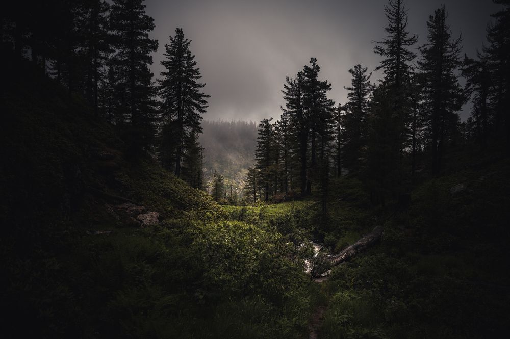 Photograph by  Алексей