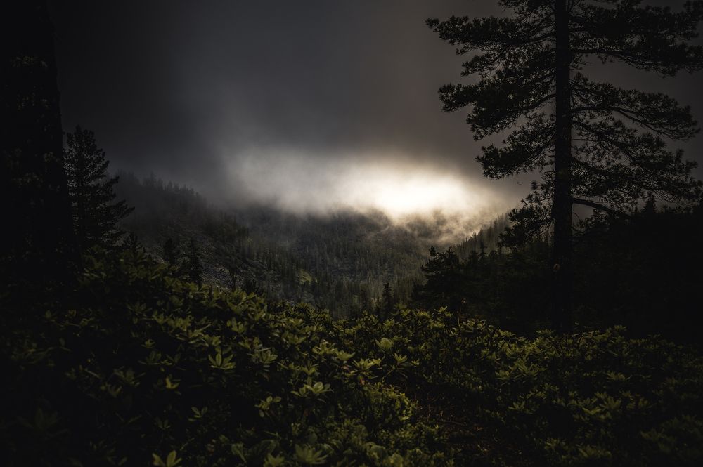 Photograph by  Алексей