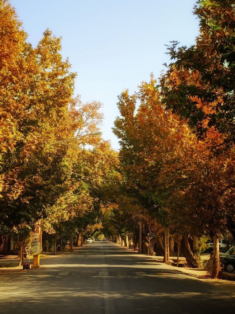 Photograph by Hannaneh Akhoondi