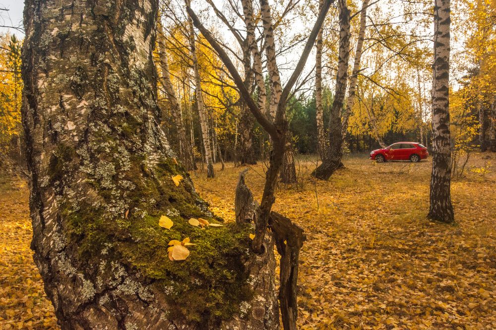 Photograph by Александр Халимов