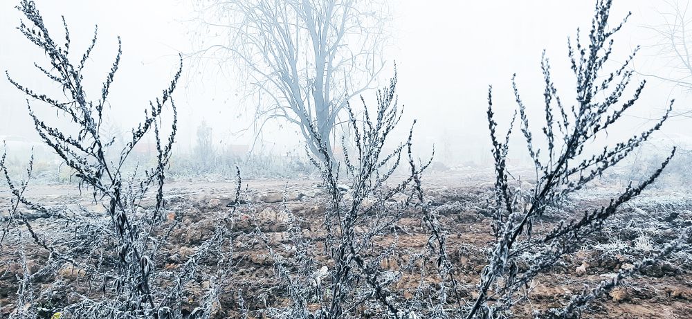 Фотография автора Дмитрий Нефёдов