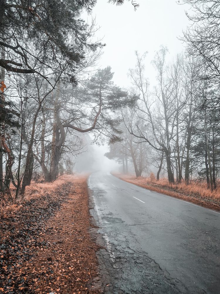 Photograph by Елена