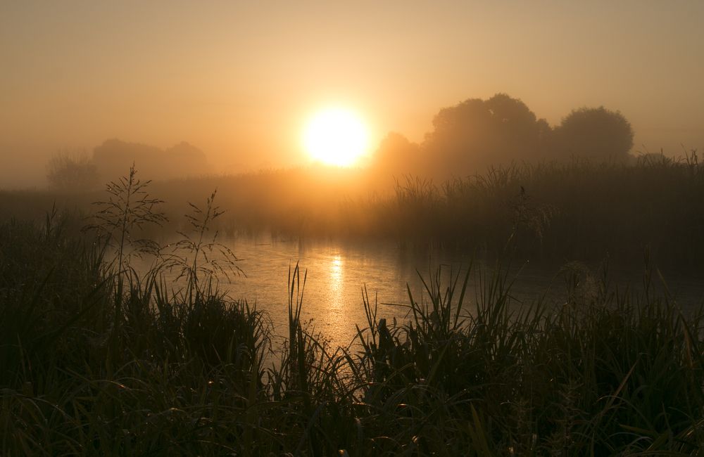 Photograph by Анна Татаренко
